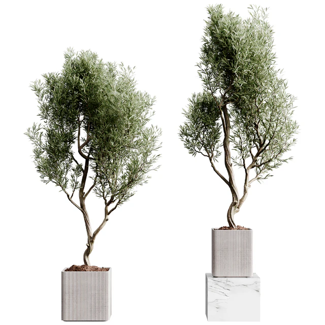 Indoor plants collection set 01 — Скачать