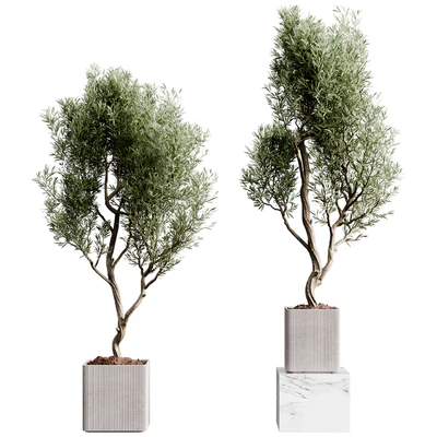 Indoor plants collection set 01 — Вид 3