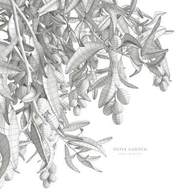 olive garden — Ver 6