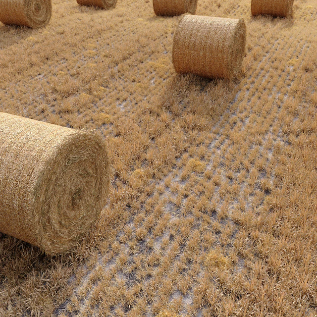 Farm field with hay bale — Descargar