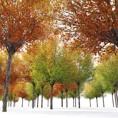 Autumn pear tree — Ver 6