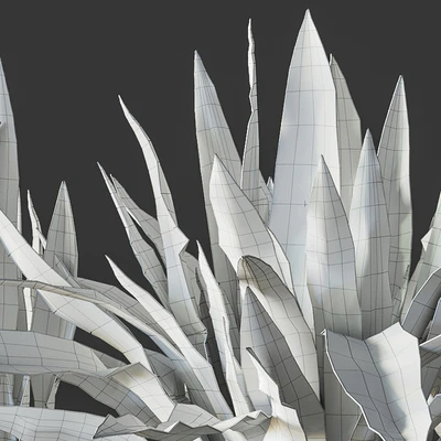 Sansevieria 2 — Ver 2