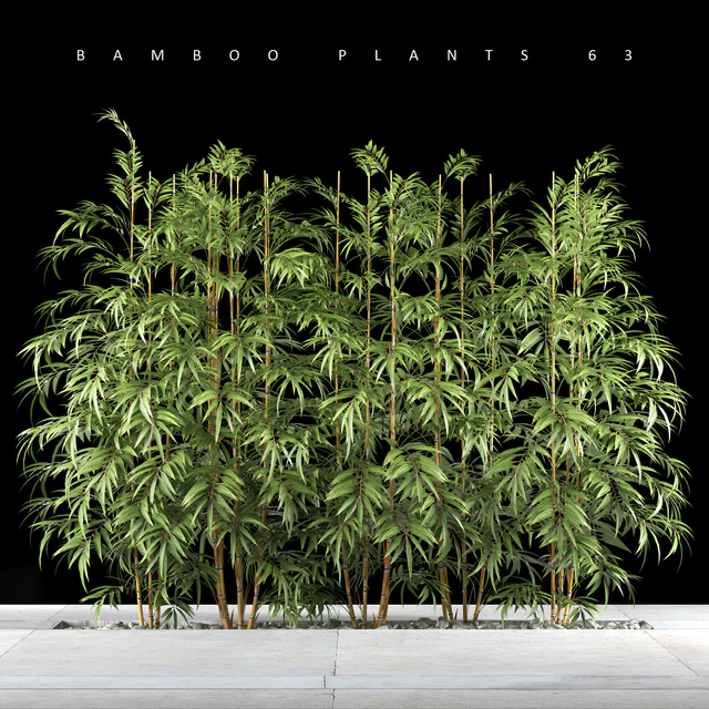 BAMBOO PLANTS 63 — Descargar