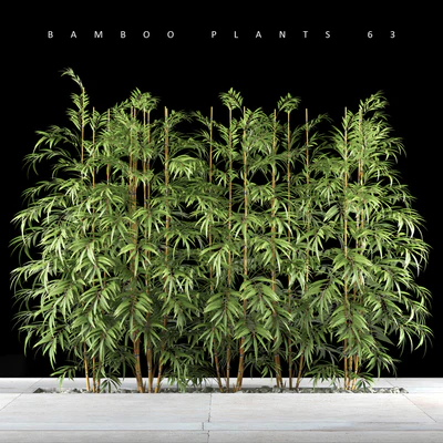 BAMBOO PLANTS 63 — Ver 1
