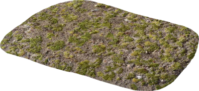 nordic mossy ground 001 — Descargar