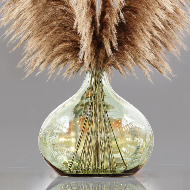 Luxury pampas grass — Descargar