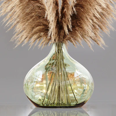 Luxury pampas grass — Ver 3