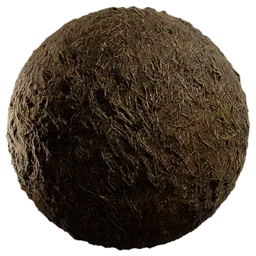 moist dried grass 001 — Descargar
