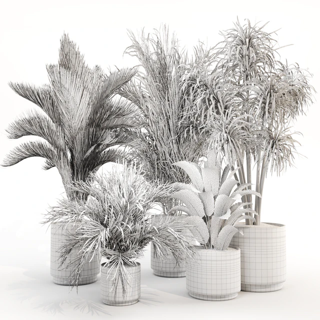 IndoorPlantSet015 — Скачать