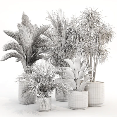 IndoorPlantSet015 — Вид 5