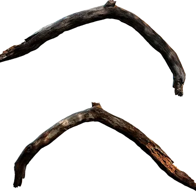 tree branch 008 — Descargar