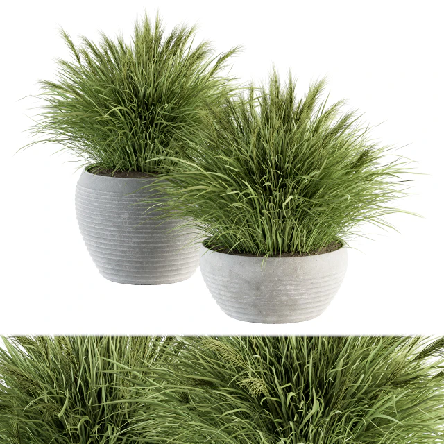 Outdoor Plant Set 196 - Green Grass in Pot — Descargar