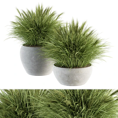 Outdoor Plant Set 196 - Green Grass in Pot — Ver 1