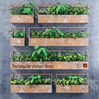 Rectangular shelves three — Ver 1