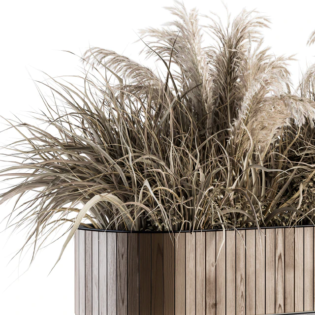 indoor Plant Set 122- Dried Plants in Wood Stand — Descargar