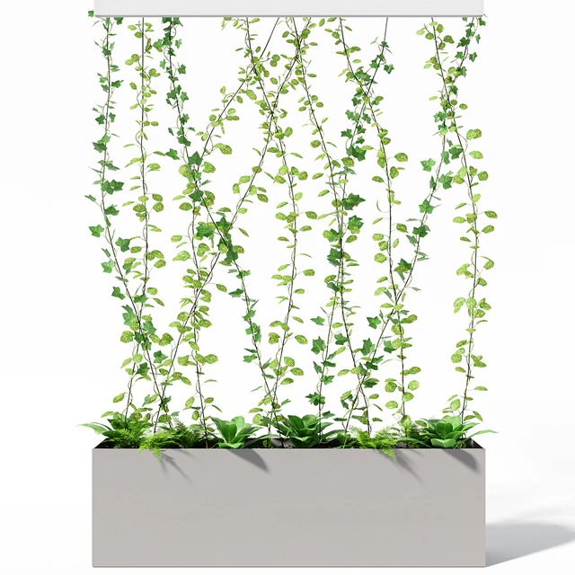 partition plant — Скачать