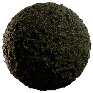 fresh wild grass 001 — Descargar