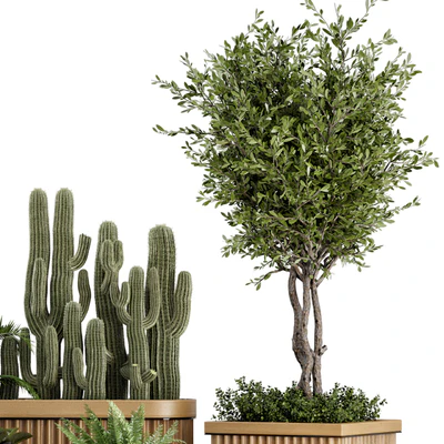 Indoor Plants Bush and Tree in Wooden Pot - Set 401 — Вид 4