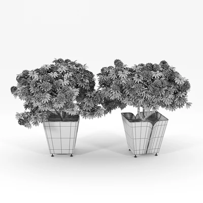 ADDICTED II BY AGENCE AKÏRO CYRIA — Ver 3