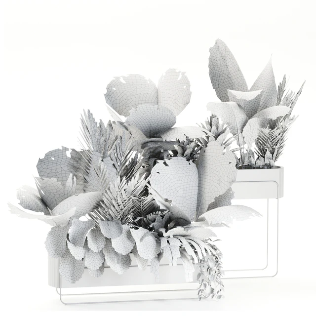 Indoor plants in box set-70 — Descargar