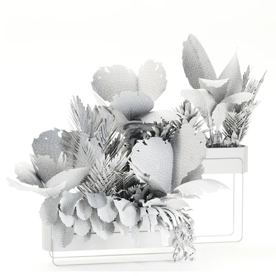 Indoor plants in box set-70 — Ver 4