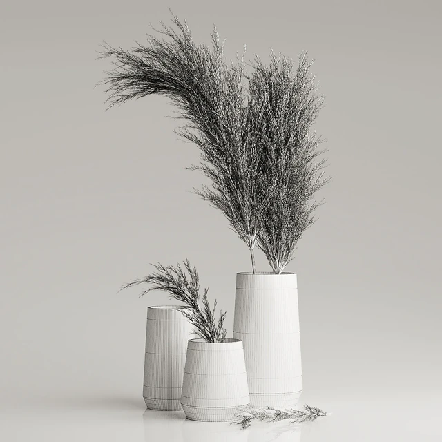 Dried Pampas Plant in Vases — Descargar