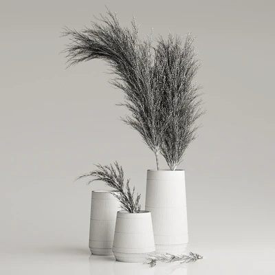 Dried Pampas Plant in Vases — Ver 2