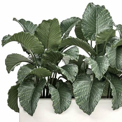 Exotic decorative lush thickets of Alchemy bushes in a white pot flowerbed. Set 507. — Ver 4