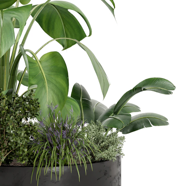 Outdoor Plants Bush in rusty Metal Pot - Set 222 — Descargar