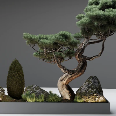 Decor with pine — Ver 4