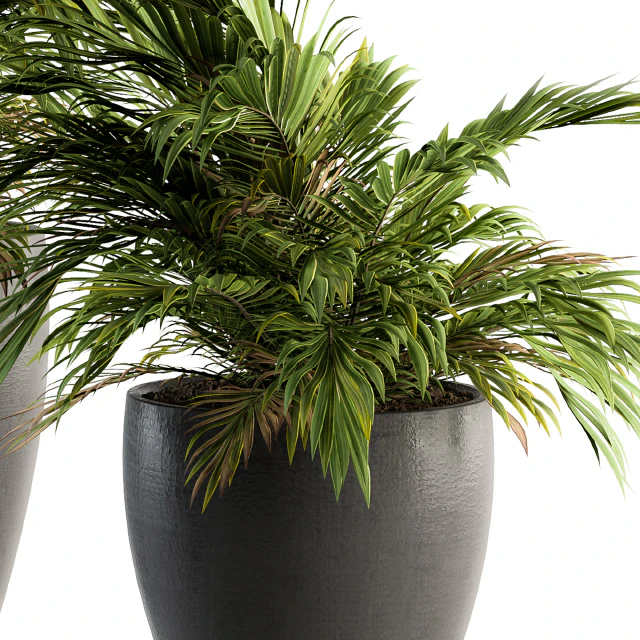 Indoor Plant Set 88 - Tropical — Descargar