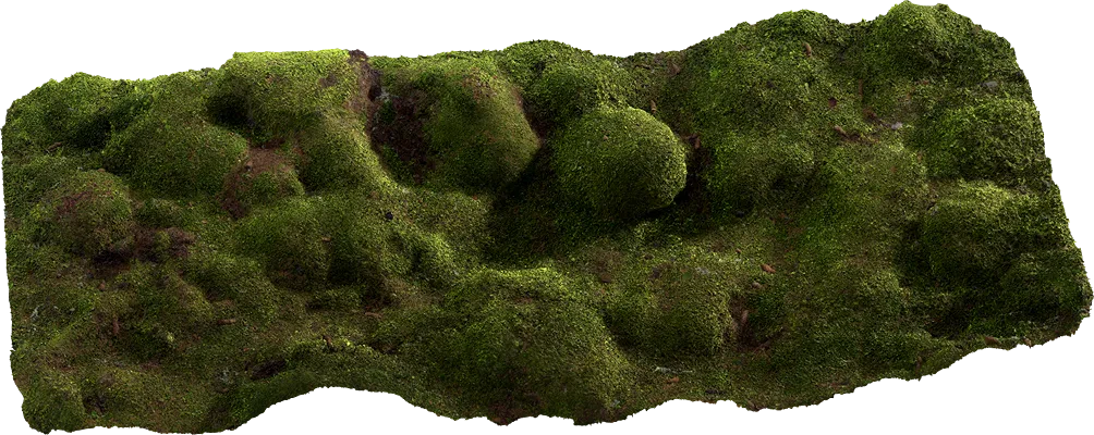 mossy mounds 001 — Скачать