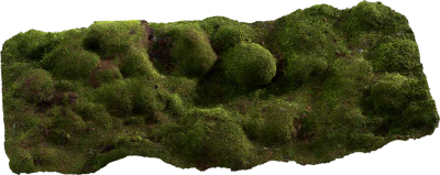 mossy mounds 001 — Скачать