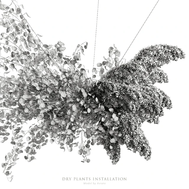 Dry plants installation — Descargar