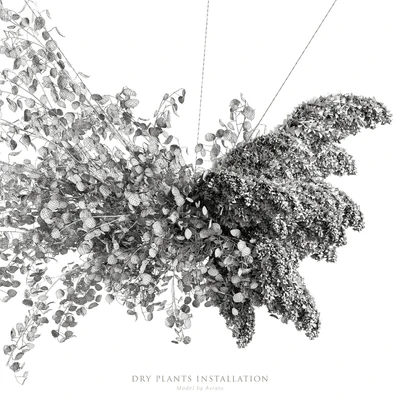 Dry plants installation — Ver 4