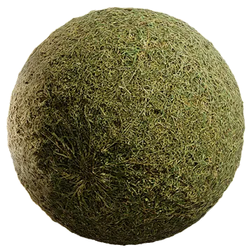 grass dried 057 — Descargar