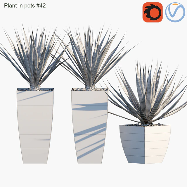 Plant in pots # 42: Agave — Descargar