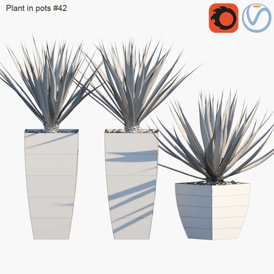Plant in pots # 42: Agave — Ver 3