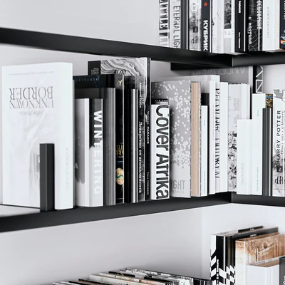 Books on the shelves — Ver 4
