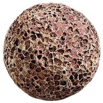 beach coral 001 — Descargar