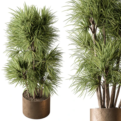 Indoor Plant 609 - Yuka Plants — Ver 4