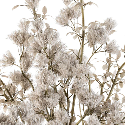 Bouquet Set 16 - Dried Plants — Ver 5