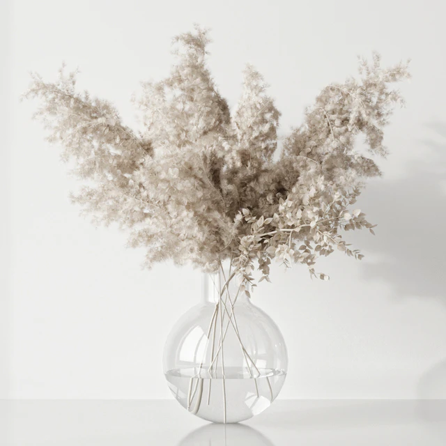 Plant — Descargar