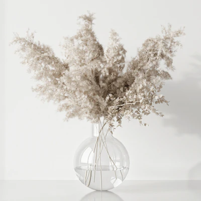 Plant — Ver 1
