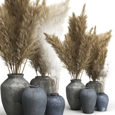 Decorative set of Clay Vases and Pampas Grass — Ver 3