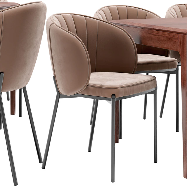 Coral dining chair and Brooklyn table — Descargar