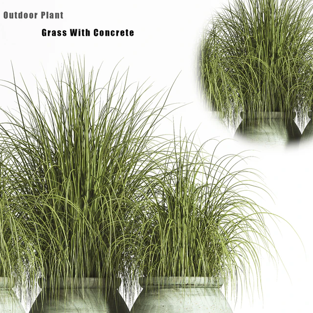 Outdoor Plant set 01 — Скачать