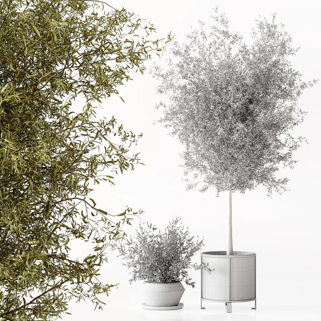 Indoor Plant 017 — Descargar