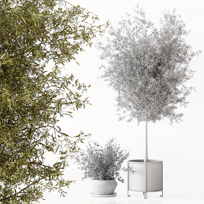 Indoor Plant 017 — Ver 3