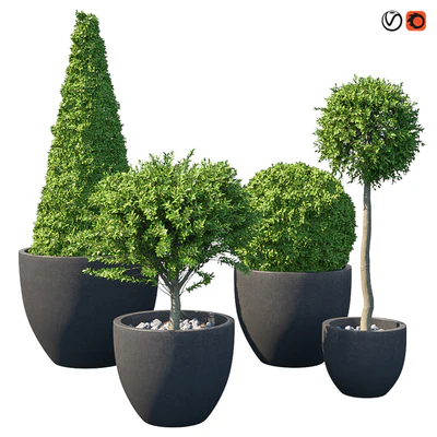 Street bushes in pots IV — Ver 1